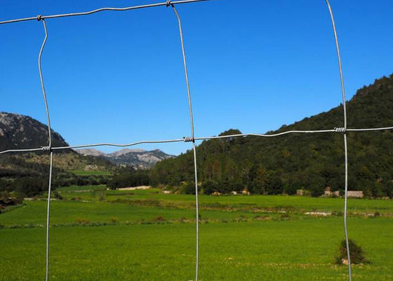 Cerca de alta elasticidade Metal Wire Fence do campo de H2.4m para a exploração agrícola e o pasto