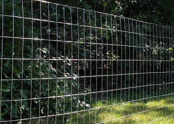Cercas laminadas de arame galvanizado com malha de 2 x 4 polegadas
