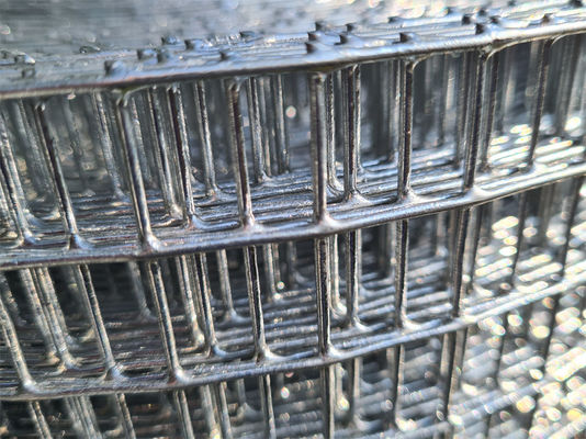 2.5-25cm Tamanho de malha Soldadura especializada Malha de fio tecido Soldado Diâmetro de fio 1mm-10mm