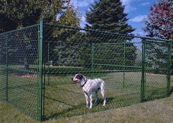Canil para cães com elos de corrente é removível e portátil para vários lugares